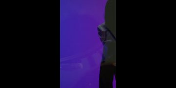 alanews for Tod’s Eyewear (Insta story)