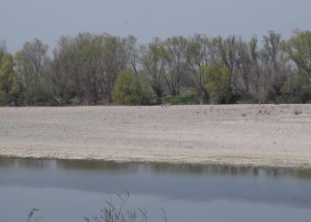 Preoccupazione per abbassamento del livello del fiume PO