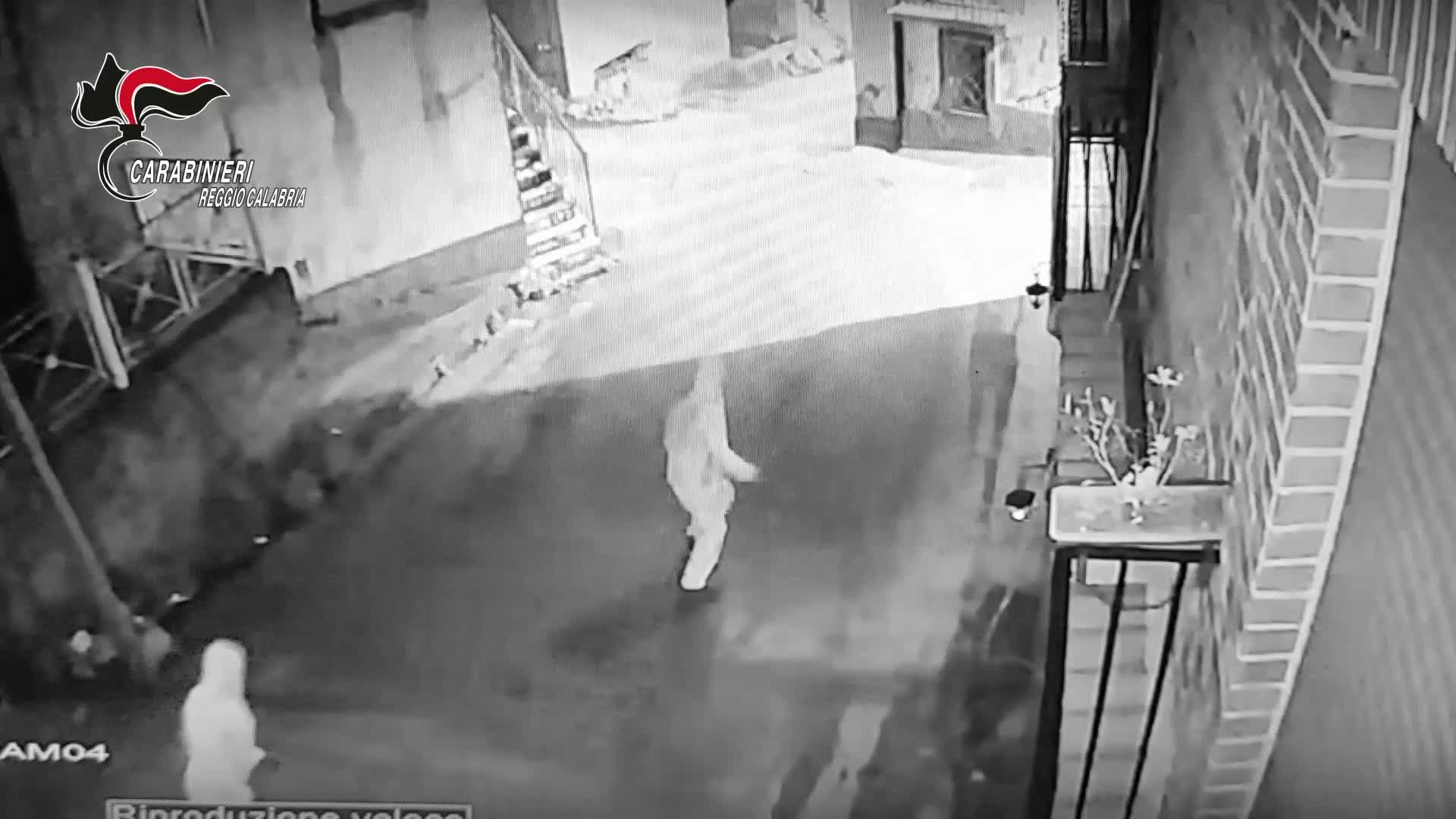 Undici arresti in Calabria per danneggiamenti,