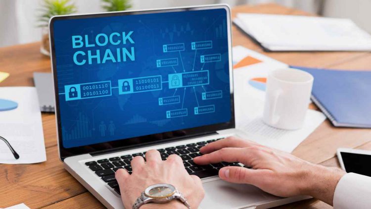 Immagine | Envato Elemenrs