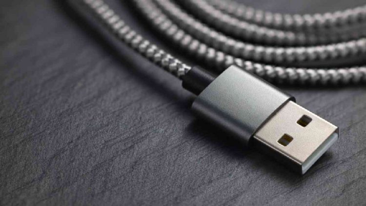 Immagine | Envato Elements