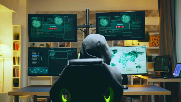 Immagine | Envato Elements