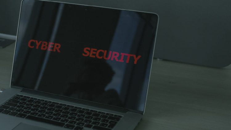 Immagine | Pexels @cottonbro studio