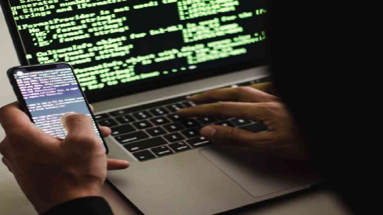 Immagine | Pexels @Sora Shimazaki