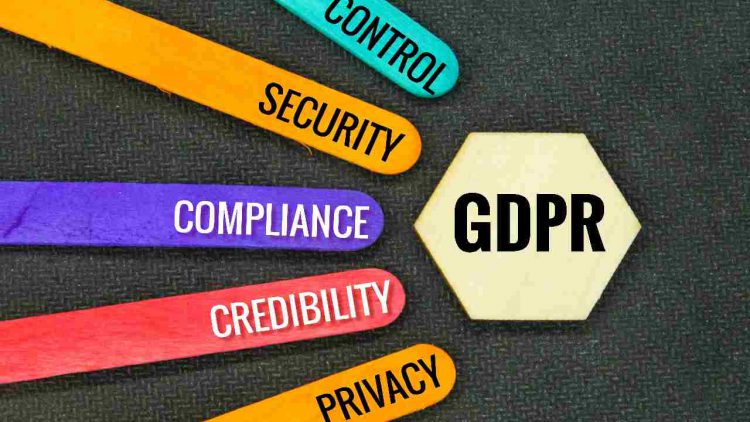 Immagine | Envato Elements