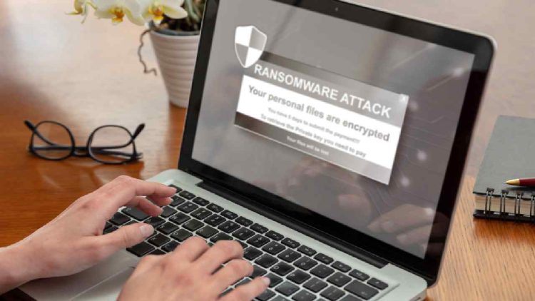 Immagine | Envato Elements