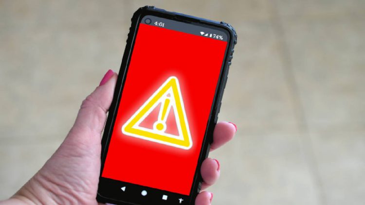 Immagine | Envato Elements