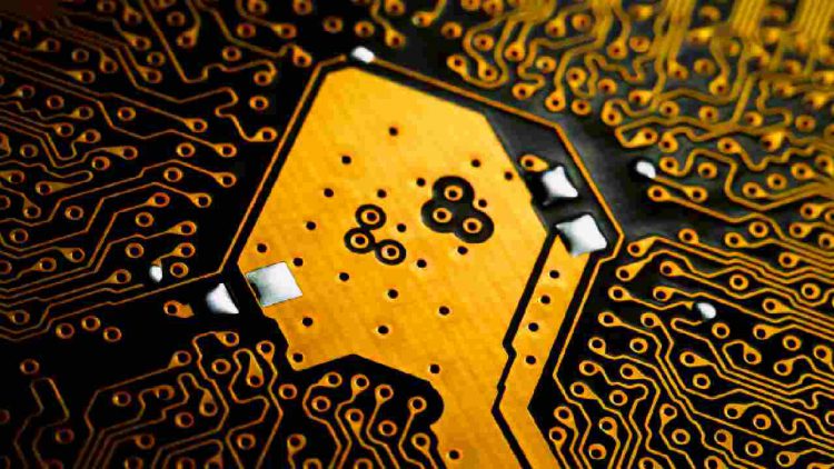 Immagine | Envato Elements