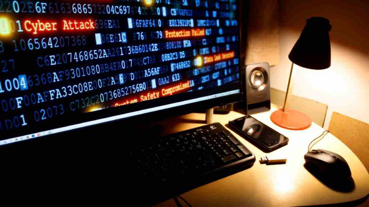 Immagine | Envato Elements