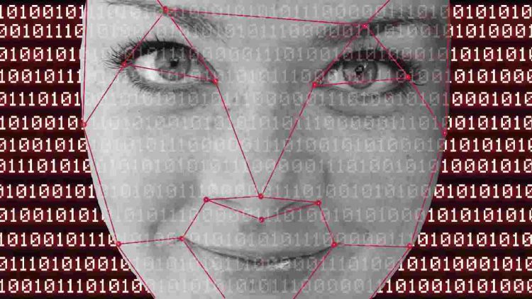 Immagine | Envato Elements