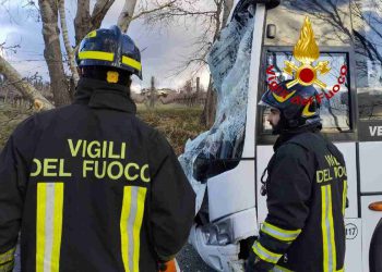 Albero cade su Bus nel Fiorentino
