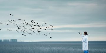 Aviaria: 6 fatti sorprendenti da conoscere sulla trasmissione tra esseri umani