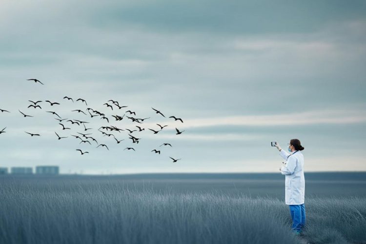 Aviaria: 6 fatti sorprendenti da conoscere sulla trasmissione tra esseri umani