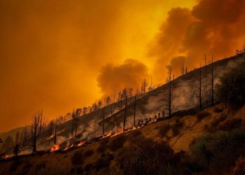 Incendi Turchia