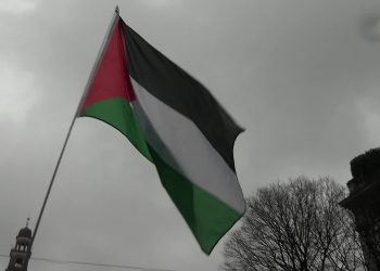 Bandiera della Palestina