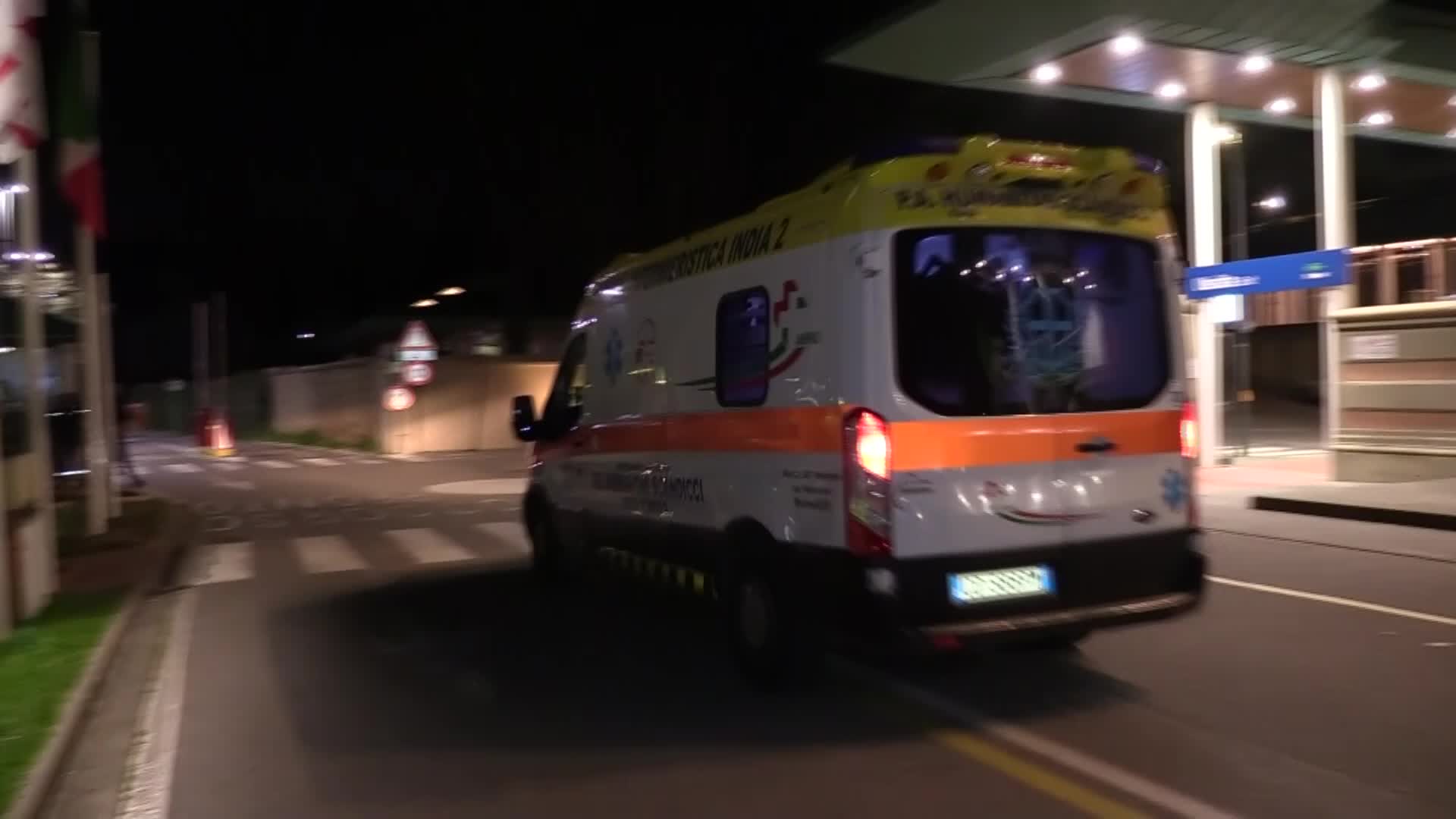 foto di ancora un morso
