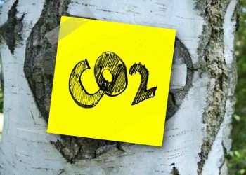 Un post it con la scritta C02 appiccicato su un albero