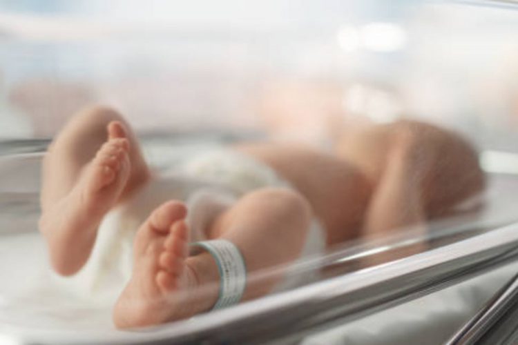 Calo della natalità in Italia