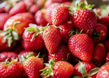 Delle fragole