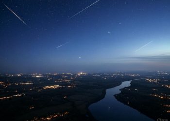 Musk: ‘Senza Starlink, il fronte ucraino crollerebbe’