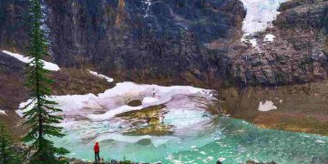 Il decennio più caldo della Terra: livelli di CO2 al massimo storico degli ultimi 800mila anni