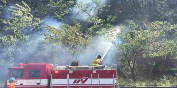 Vigili del fuoco sudcoreani alle prese con un incendio boschivo