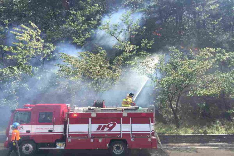 Vigili del fuoco sudcoreani alle prese con un incendio boschivo