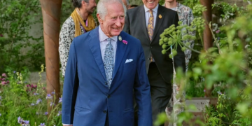 Re Carlo III ospita a Windsor Zelensky