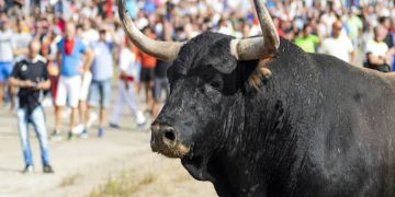 Città del Messico: la corrida diventa non violenta, ma il compromesso divide