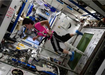 Vivere “come nello spazio”: chi sono e cosa fanno gli astronauti analoghi