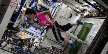 Vivere “come nello spazio”: chi sono e cosa fanno gli astronauti analoghi