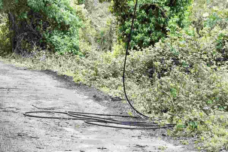 Dei cavi della funivia spezzati