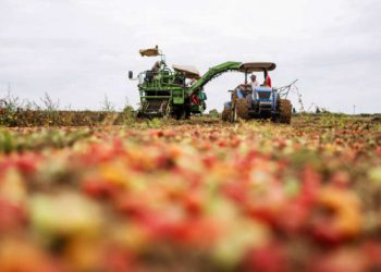 Il peso dei dazi sull'agroalimentare italiano