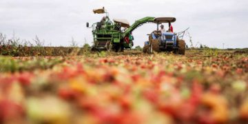 Il peso dei dazi sull'agroalimentare italiano