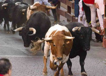 In Spagna un uomo è morto dopo essere stato incornato da un toro