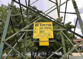 Linea Terna T 23-F24A (Massa-Cascina) pilone n° 307