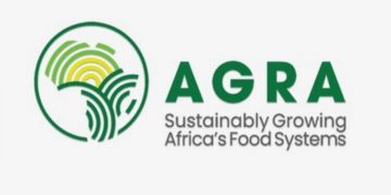 ONG kenyana denuncia perdite per dazi USA