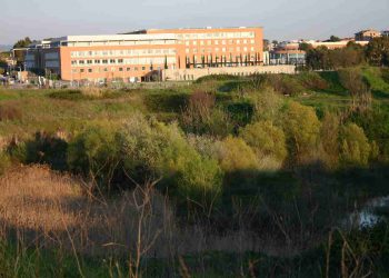 Policlinico Universitario Campus Bio-Medico