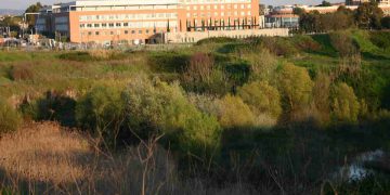 Policlinico Universitario Campus Bio-Medico