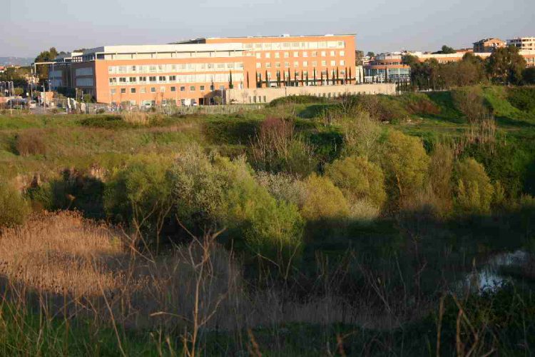 Policlinico Universitario Campus Bio-Medico