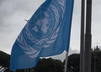 Una bandiera dell'Onu