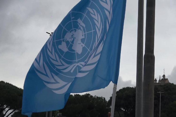 Una bandiera dell'Onu