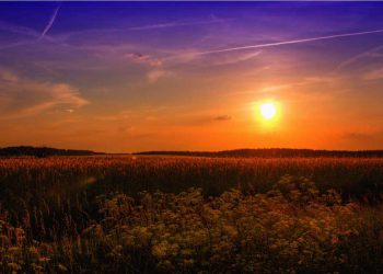 Una calda giornata di primavera