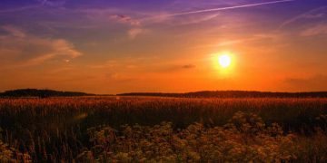 Una calda giornata di primavera