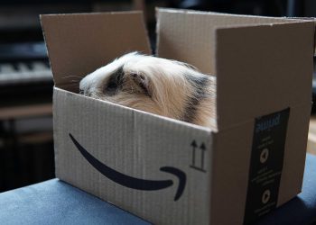 Una scatola di Amazon