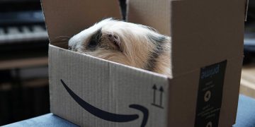 Una scatola di Amazon