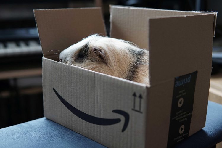 Una scatola di Amazon