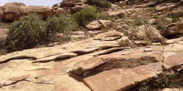 Un'area della Somalia