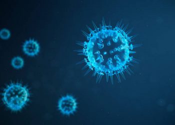 Virus scinziale