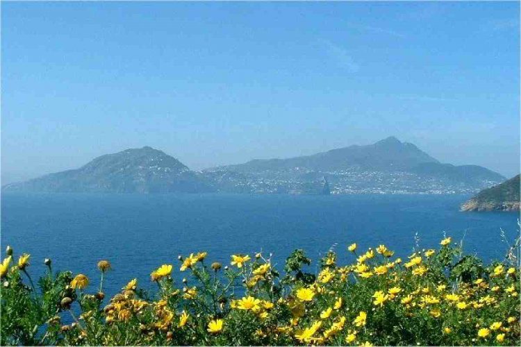 Vista dell'isola d'Ischia da Procida
